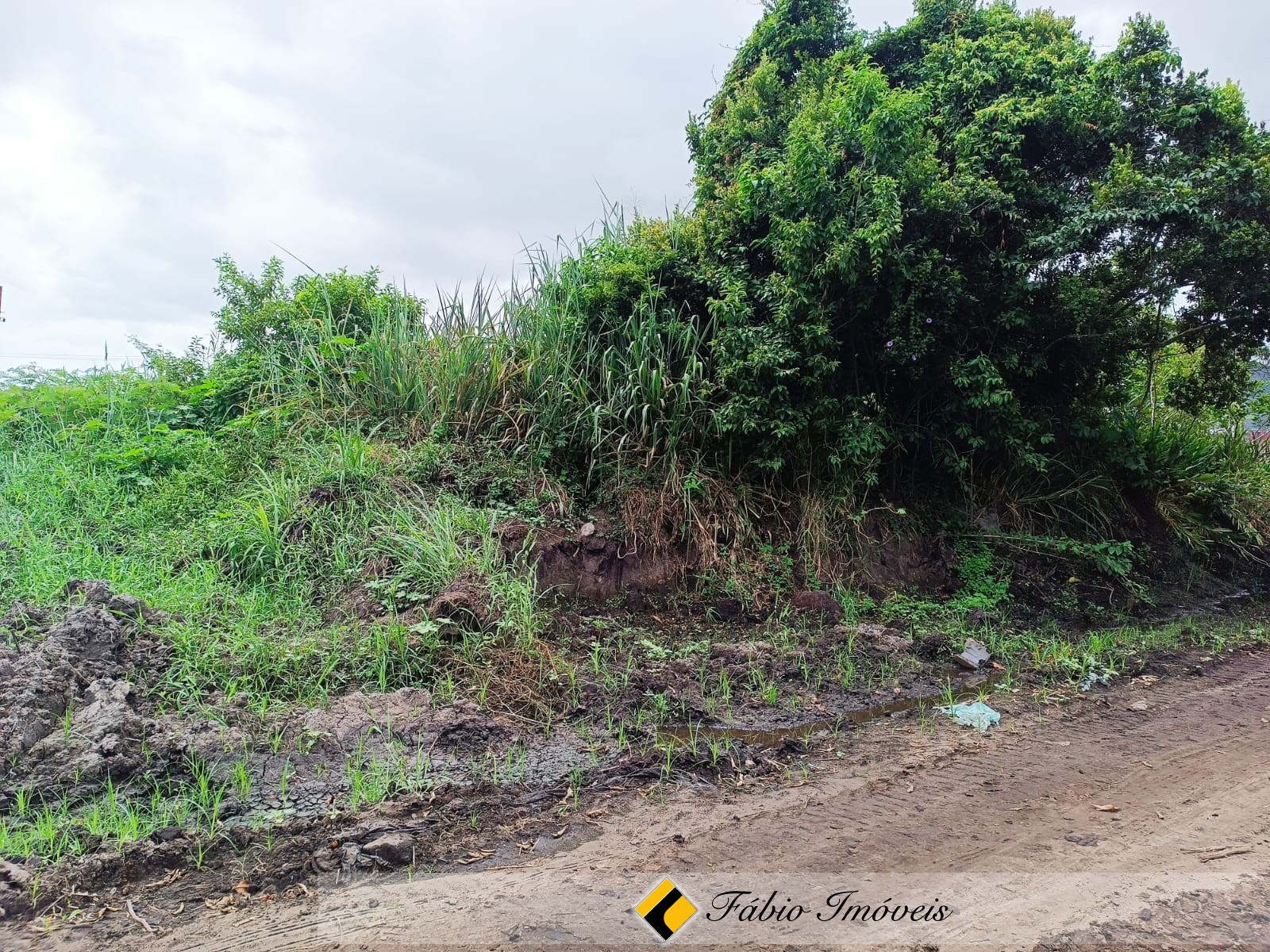 Dois lotes juntos – Foto 1