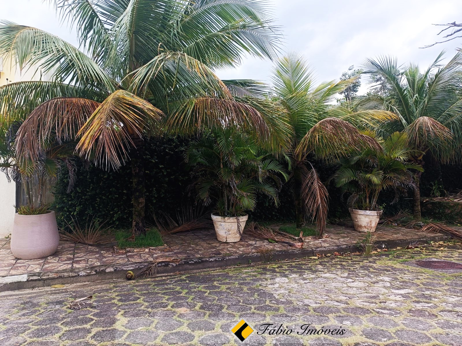 Terreno  murado a apenas 300m da praia – Foto 1