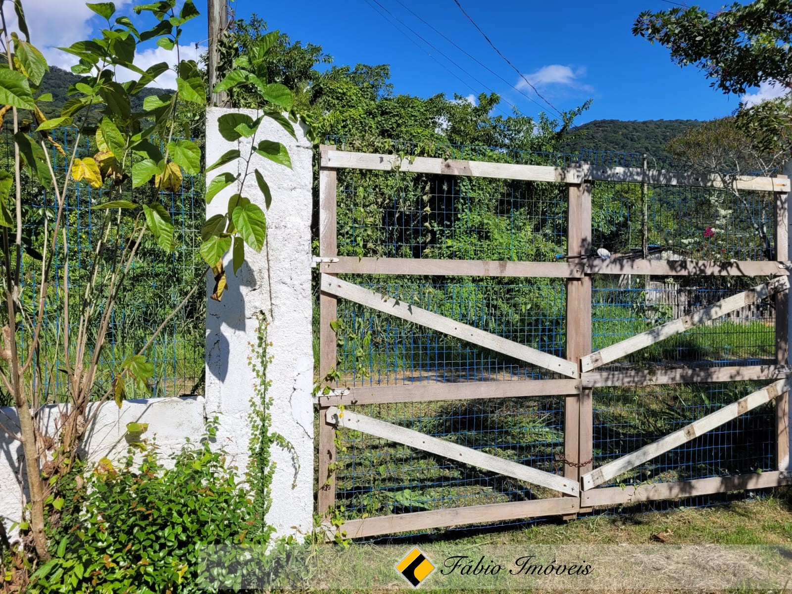 Casa em dois lotes!! – Foto 1