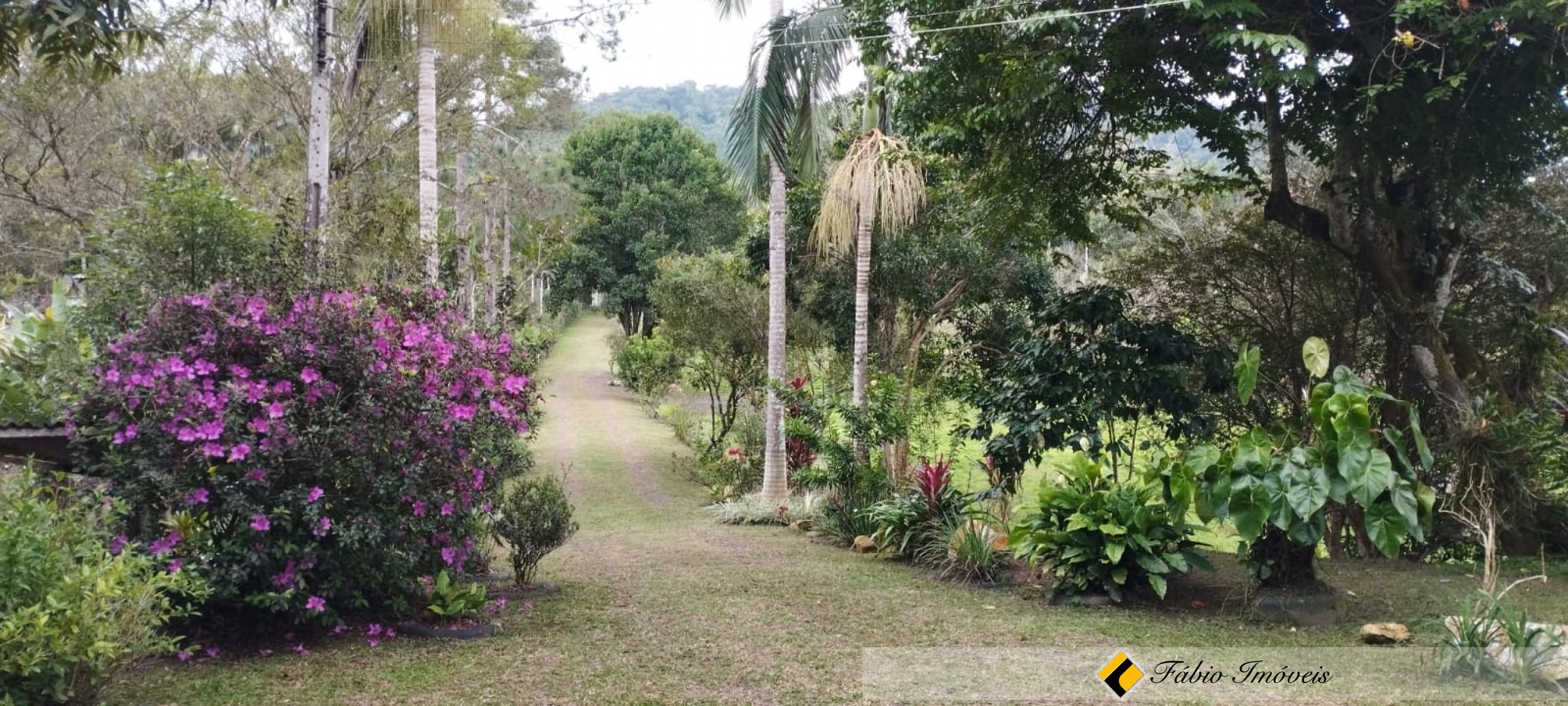 Chácara em Miracatu , com interesse em PERMUTA por imóvel em Peruíbe! – Foto 1