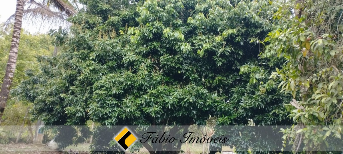 Chácara em Miracatu , com interesse em PERMUTA por imóvel em Peruíbe! – Foto 12